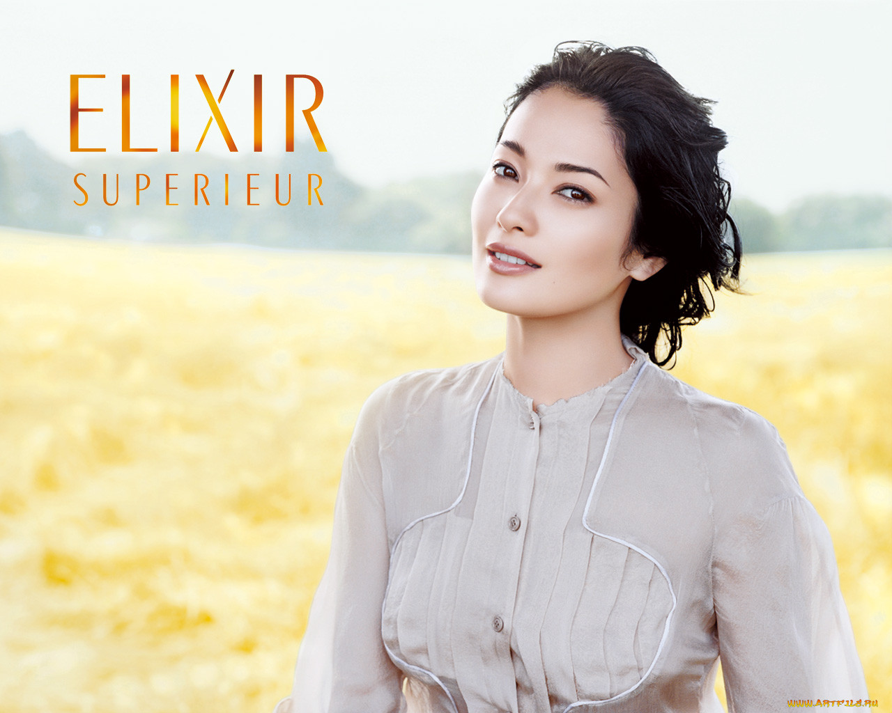 , elixir, superieur
